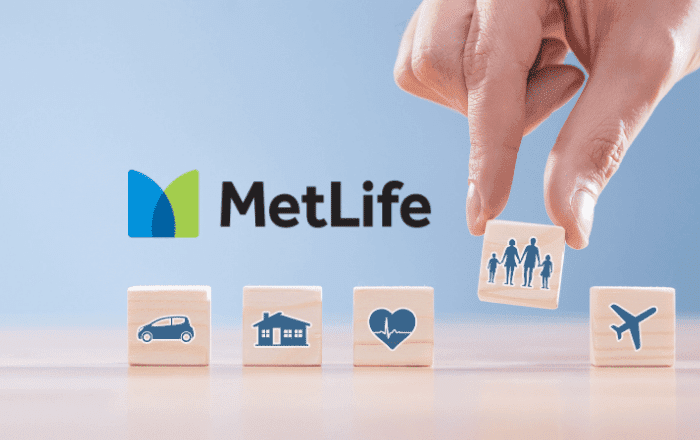 MetLife Insurance Plans